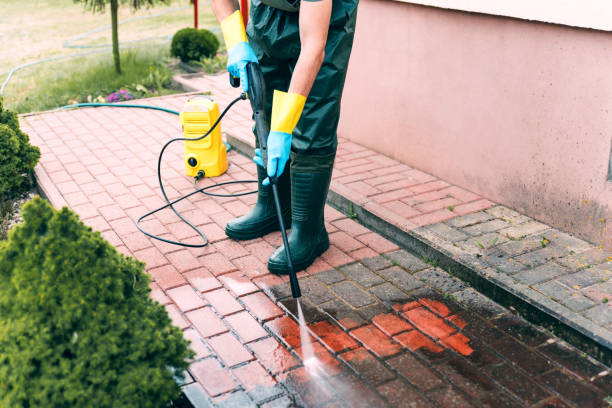 Best Sidewalk and Walkway Cleaning  in Nellis Af, NV